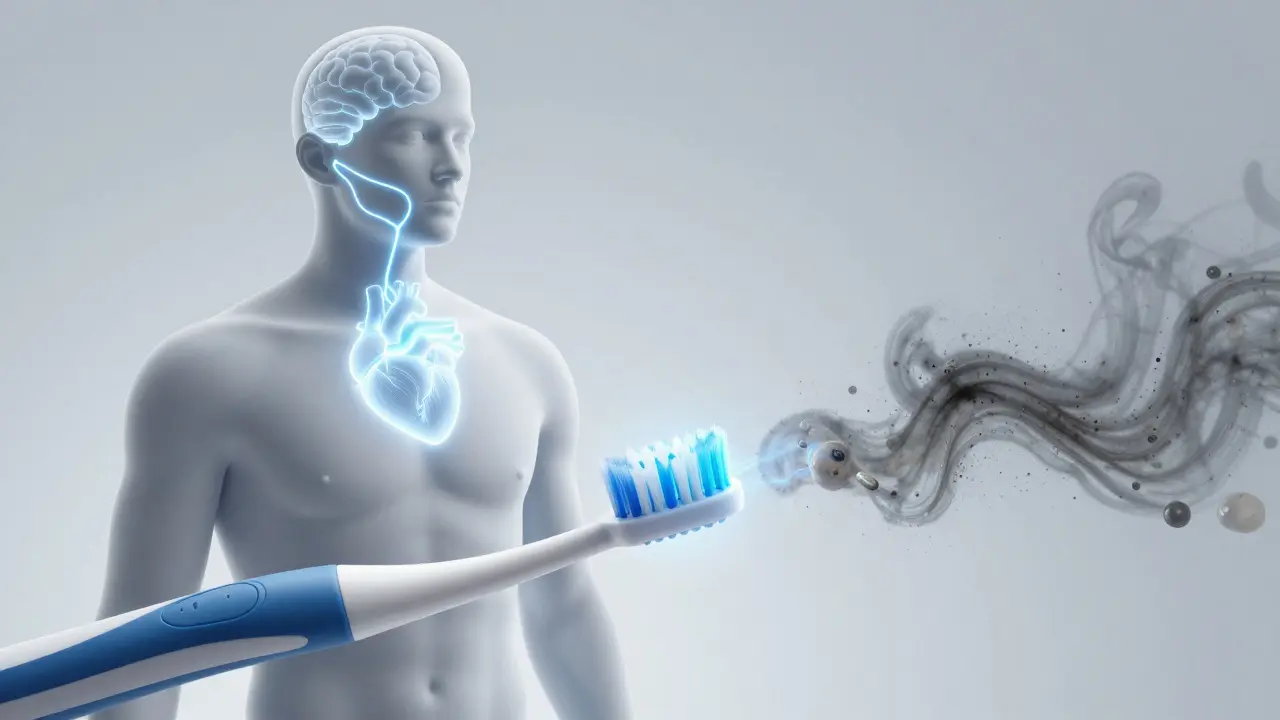 Konečný obraz lidského těla s vazbou mezi ústy a srdcem, sonický kartáček odstraňuje plak a bakterie, zvyšuje celkové zdraví.